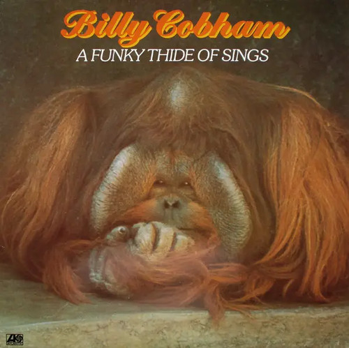 Billy cobham funky - cobham, thide