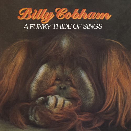 Billy cobham funky thide - billy,