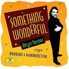Something wonderful terfel - something,