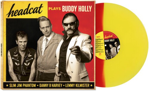 The head cat - -, buddy